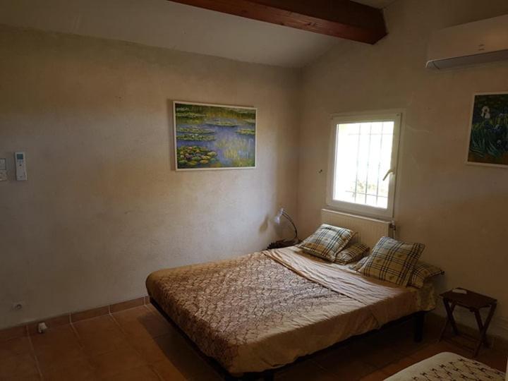 Homestay Les Palmiers Toulon