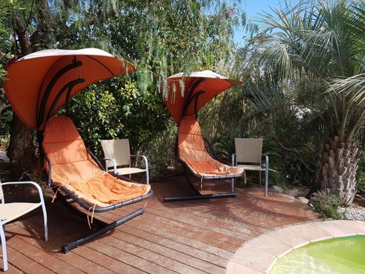 Homestay Les Palmiers Toulon