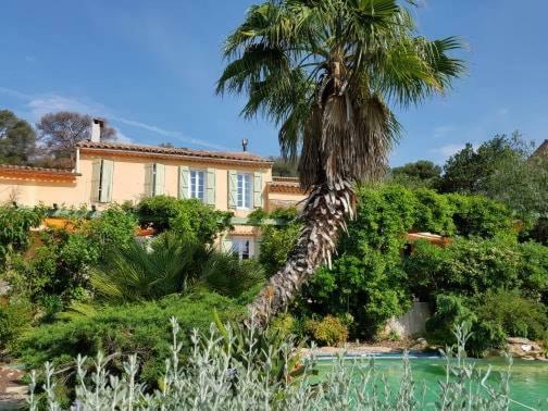 Homestay Les Palmiers *
